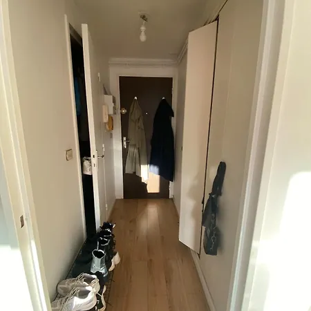 Cosy - 9